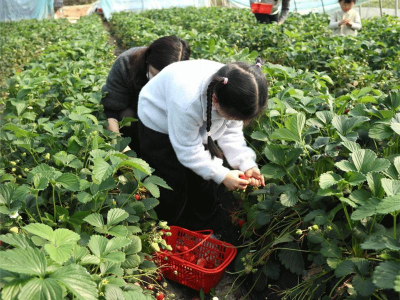 中国·KY开元(集团)股份有限公司-官方网站