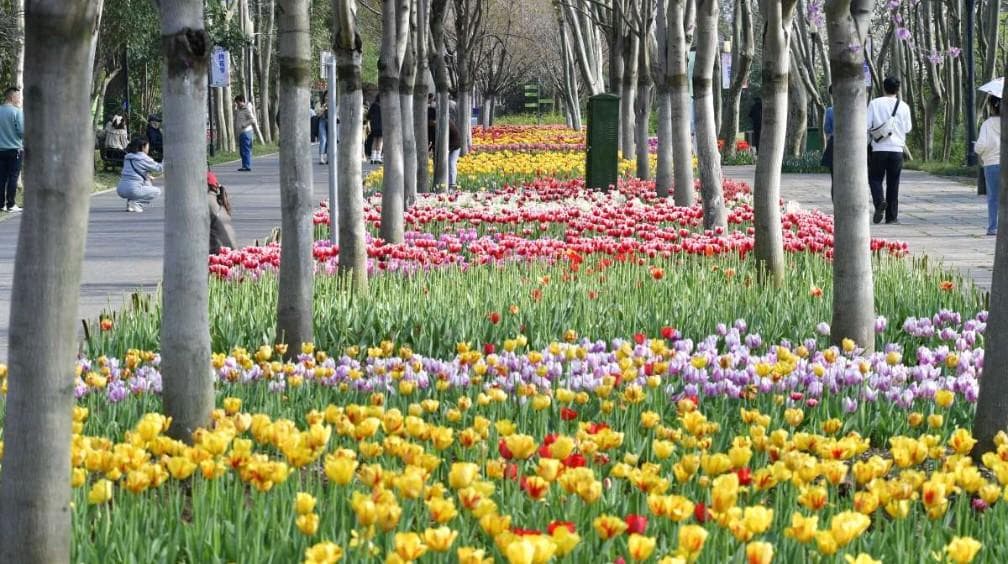 中国·KY开元(集团)股份有限公司-官方网站