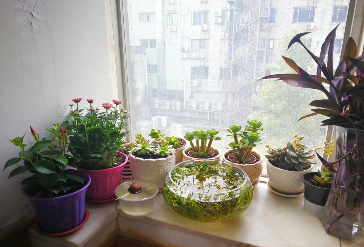 中国·KY开元(集团)股份有限公司-官方网站