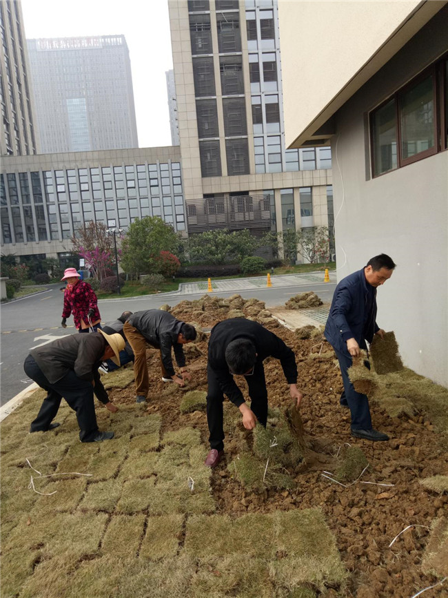 中国·KY开元(集团)股份有限公司-官方网站