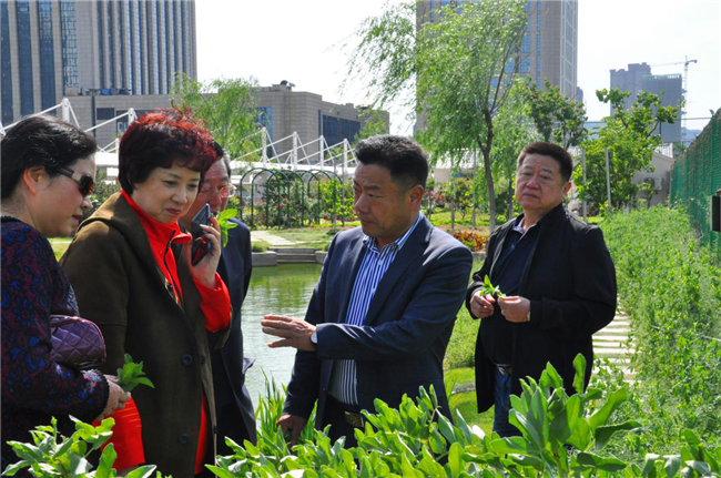 中国·KY开元(集团)股份有限公司-官方网站