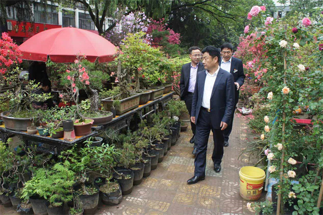 中国·KY开元(集团)股份有限公司-官方网站