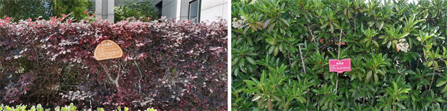 中国·KY开元(集团)股份有限公司-官方网站