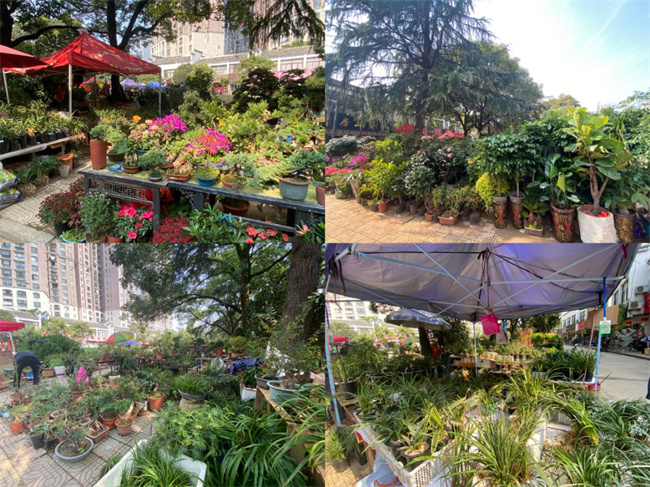 中国·KY开元(集团)股份有限公司-官方网站