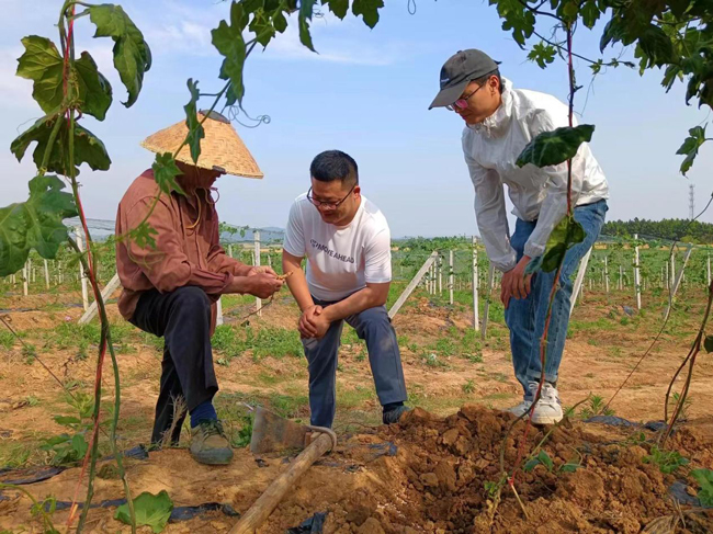 中国·KY开元(集团)股份有限公司-官方网站