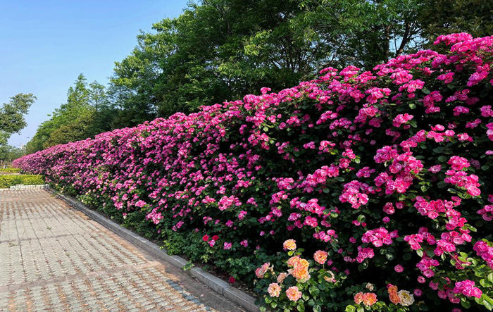 中国·KY开元(集团)股份有限公司-官方网站