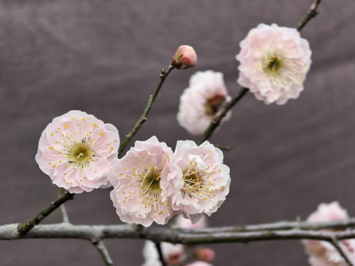 中国·KY开元(集团)股份有限公司-官方网站